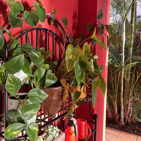 Вилла Red-house *